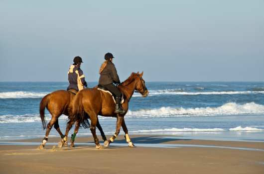 Horse riding on Northumberland beach