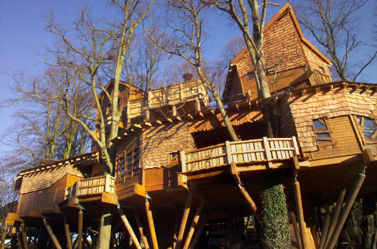 The Tree House Restaurant, The Alnwick Garden, Northumberland