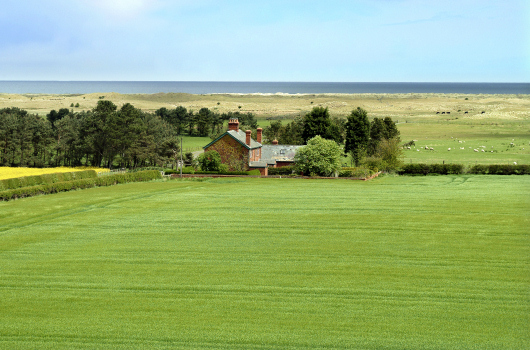 Coastguard Cottages