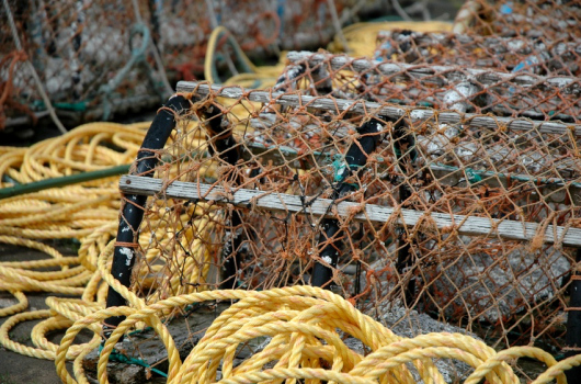 Lobster Creels, Northumberland