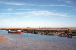 Oyster Farming