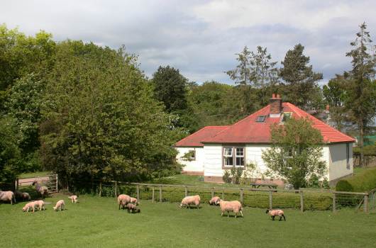 Wagtail Cottage